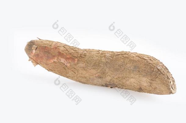 木薯生的块茎-木薯埃斯库塔