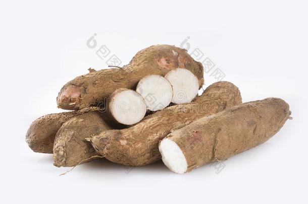 木薯生的块茎-木薯埃斯库塔