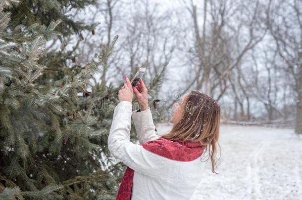 幸福的女人迷人的<strong>照片</strong>关于雪<strong>落下</strong>向松树树和subjectmatterarea主题区
