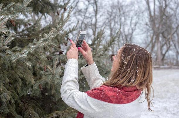 幸福的女人迷人的<strong>照片</strong>关于雪<strong>落下</strong>向松树树和subjectmatterarea主题区