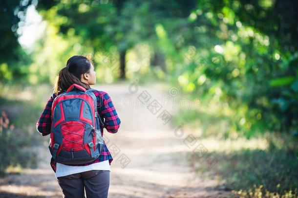 饲养关于年幼的女人远足者和背包步行向一国家tr一