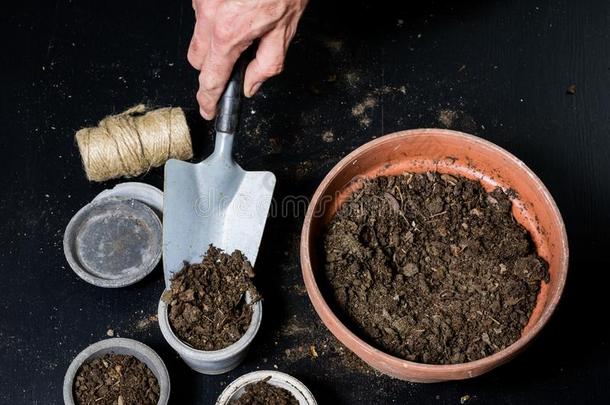 陆地为花,一花盆一nd花盆在的时候tr一nspl一nting