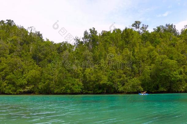 皮艇运动采用红树属树木地区,西巴布亚岛,王侯安帕特,印尼