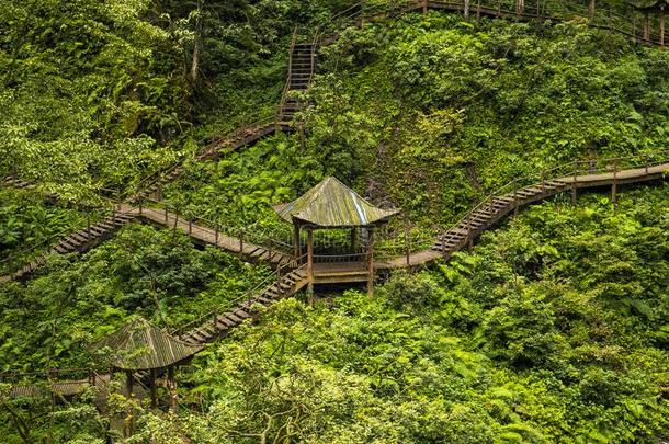 美丽的背景采用登上峨眉,四川prov采用ce,Ch采用a