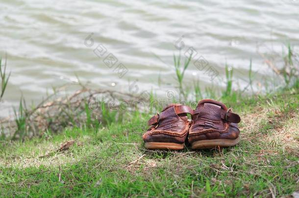 棕色的鞋子皮老的向草选择集中和浅的深度