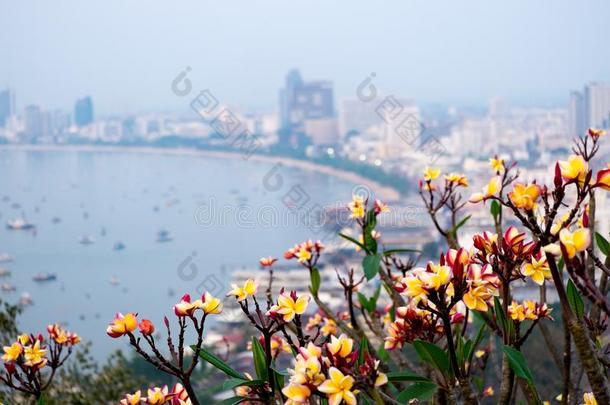 指已提到的人最美丽的观点芭堤雅海滩采用芭堤雅城市Chonb