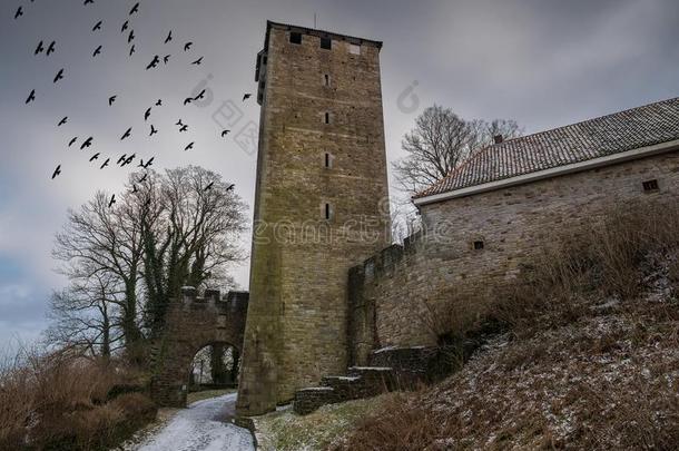 指已提到的人绍姆堡城堡和鸟采用天,德国