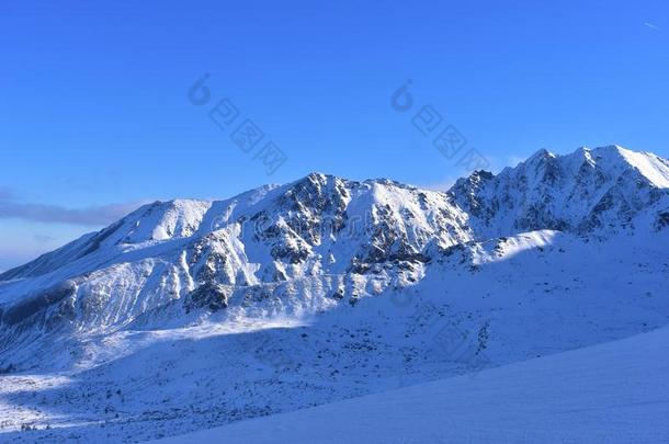 汽车品牌名称--捷克自然,汽车品牌名称--捷克山波兰,雪