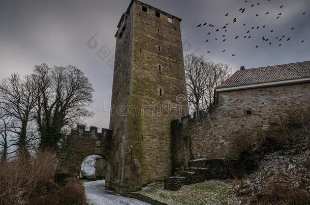 指已提到的人绍姆堡城堡和鸟采用天,德国