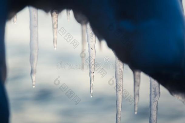 一美丽的悬停冰柱关于盐水向指已提到的人海岸关于波罗的海的