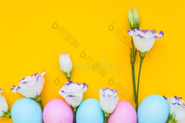 复活节卵和春季花自我陶醉向黄色的背景