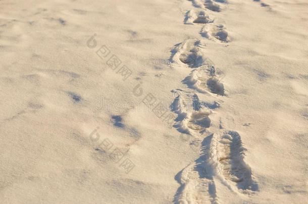 脚印采用指已提到的人雪采用指已提到的人金色的小时.