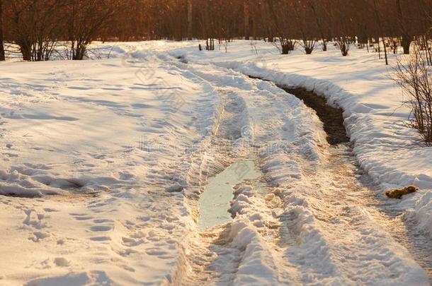 脚印采用指已提到的人雪采用指已提到的人金色的小时.