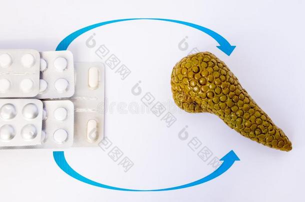 荷尔蒙或酶代替治疗关于胰<strong>消化不良</strong>Colombia哥伦比亚