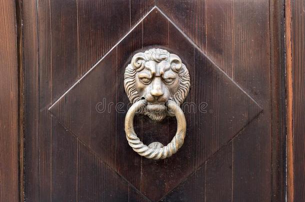 老的木制的门.正面朝上的关于狮子向指已提到的人fr向t.酿酒的门短促的敲打