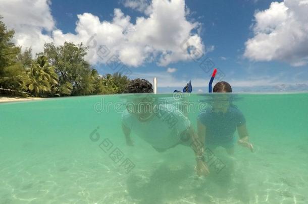 对使用水下<strong>呼吸管</strong>潜游采用拉罗汤加岛烹调岛