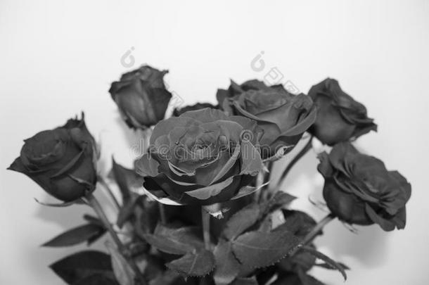 玫瑰花束采用黑的和白色的