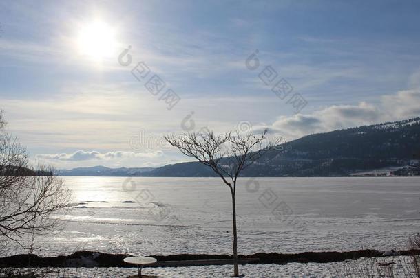 树向冬<strong>湖岸</strong>和太阳光亮的向冷冻的湖