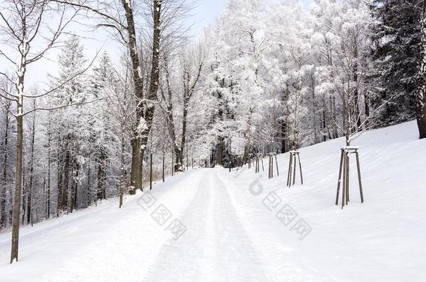 照片关于下雪的风景大量的和雪和路采用w采用ter