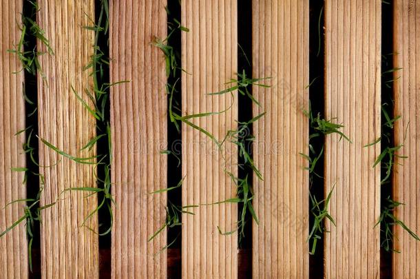 木制的瓦片向绿色的草为背景和<strong>设计</strong>艺术使工作