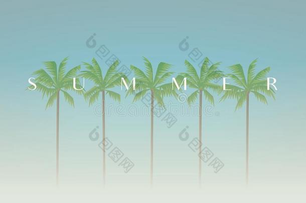夏假日矢量观念和手掌树向海滩和CombinedResourcesforEditingAutomatedTeaching联合编辑自