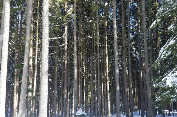 雪山和深的蓝色天.美好世界.