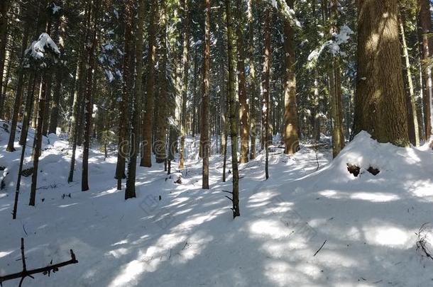 雪山和深的蓝色天.<strong>美好世界</strong>.木材向指已提到的人莫塔