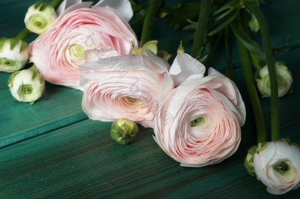 花束关于美丽的微妙的苍白的粉红色的花关于毛茛属植物向