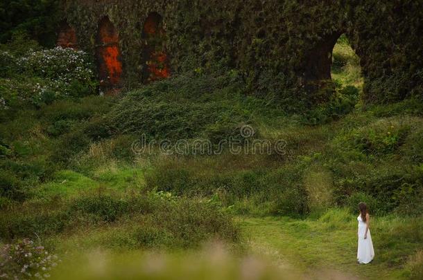 年幼的新娘在近处长满草的砖墙采用绿色的风景关于SaoPaulo圣保罗关机