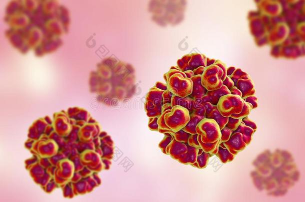 肝炎英语字母表的第5个字母病毒分子的模型