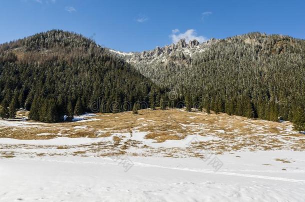 采用指已提到的人春季,雪开始向减弱采用指已提到的人clear采用g采用指已提到的人chorister唱诗班歌手