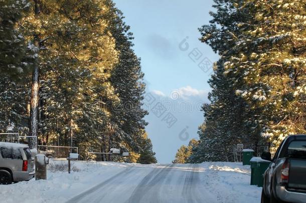 下雪的路采用<strong>旗杆</strong>,亚利桑那州.