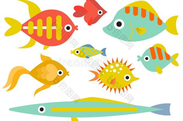 水族馆洋鱼在水中的碗热带的水生的动物泰国或高棉的佛教寺或僧院