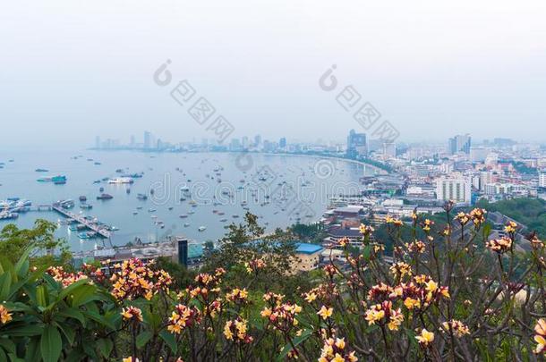 指已提到的人最美丽的观点芭堤雅海滩采用芭堤雅城市Chonb