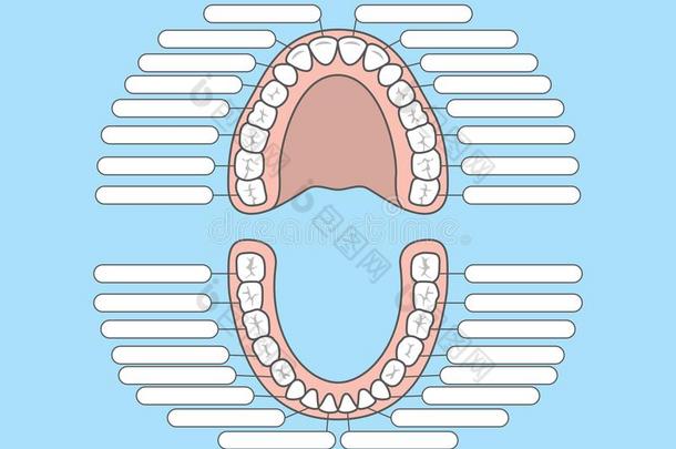 牙图表空白的说明矢量向蓝色背景.<strong>牙齿</strong>的
