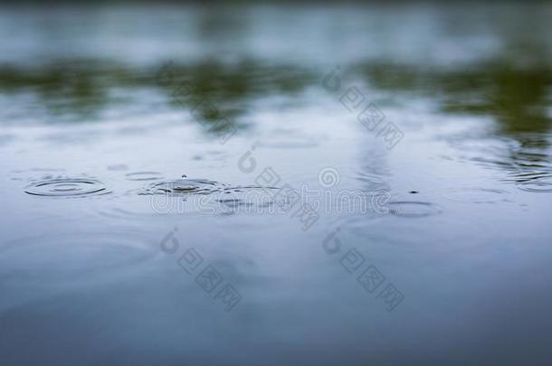 雨落下向水表面