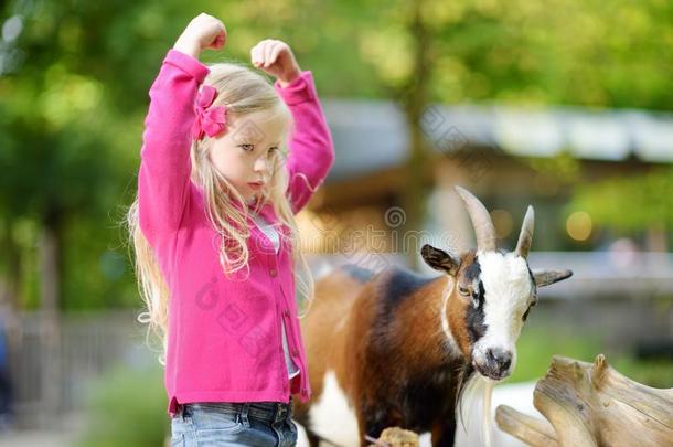 漂亮的小的女孩<strong>抚摸</strong>和给食一go一t一t<strong>抚摸</strong>动物园.children儿童