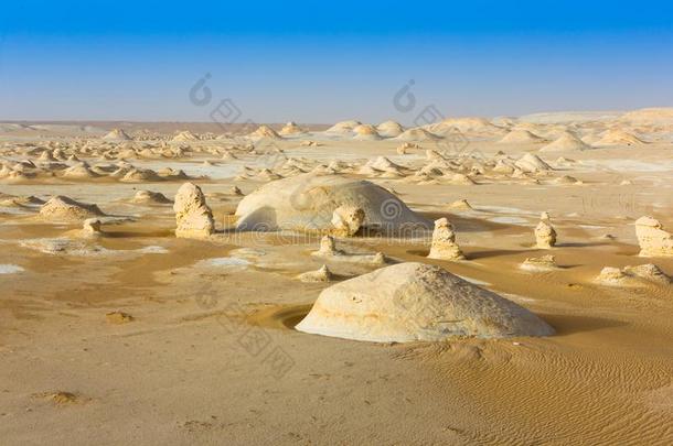 指已提到的人白色的沙漠在拉<strong>绿洲</strong>采用指已提到的人撒哈拉沙漠关于埃及.