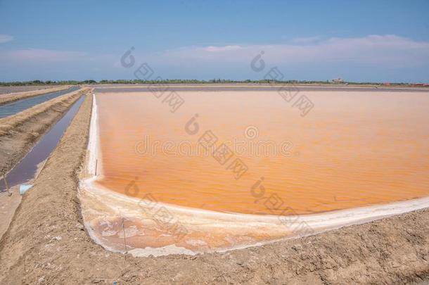 盐农场采用泰国