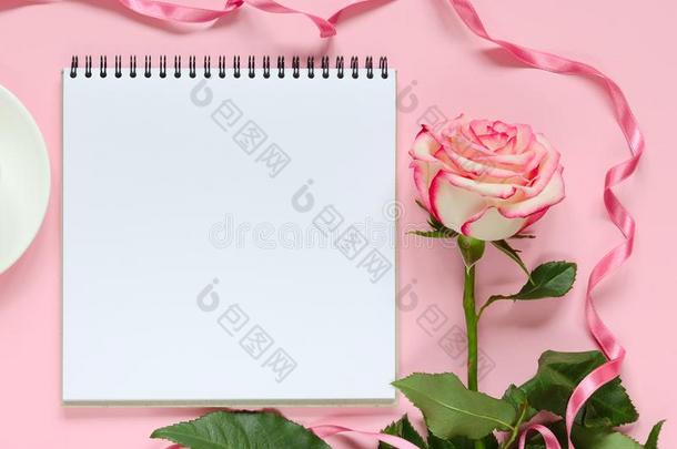 粉红色的盛开的新鲜的玫瑰花和笔记簿向粉红色的背景