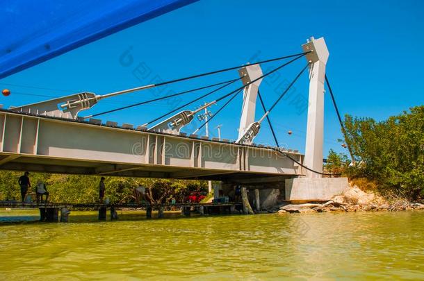 指已提到的人桥越过指已提到的人河.干的干燥的红树属树木树.俄亥俄康复研究所拉嘉托斯,Yucatan尤卡坦半岛