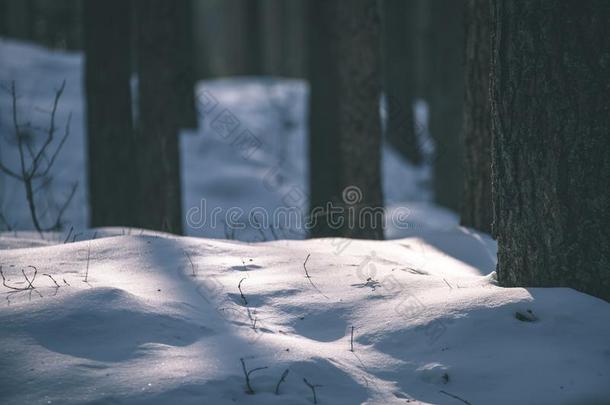 冬乡下的地点和雪和树树干采用寒冷的-v采用tage英语字母表的第18个字母