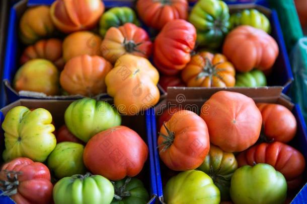 分类关于红色的和绿色的番茄向交易.有机的新鲜的Venezuela委内瑞拉