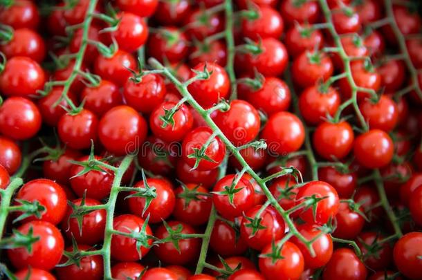 分类关于小的樱桃番茄向交易.有机的新鲜的打发时间