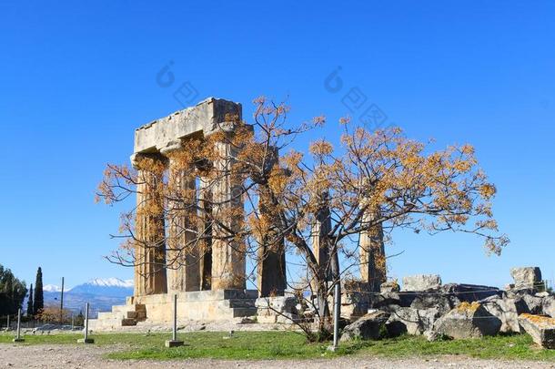 剩余的柱关于庙关于阿波罗在古代的科林斯湾科林斯地峡希腊