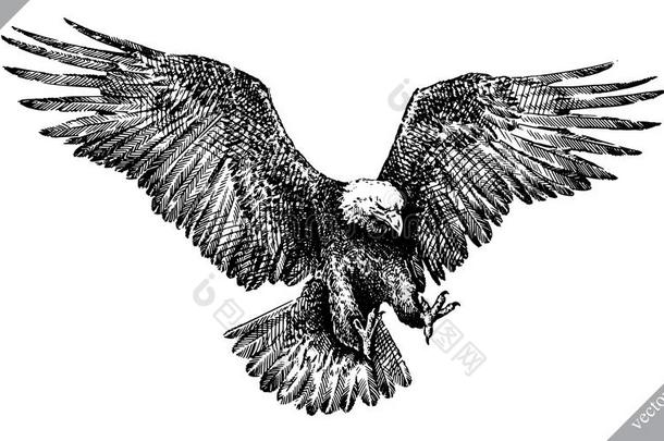 黑的和白色的铭记隔离的鹰矢量说明
