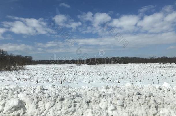 雪原