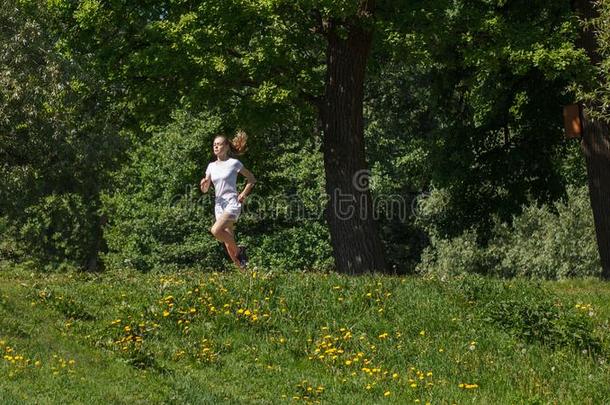 像运动家的<strong>女</strong>人跑步采用夏森林