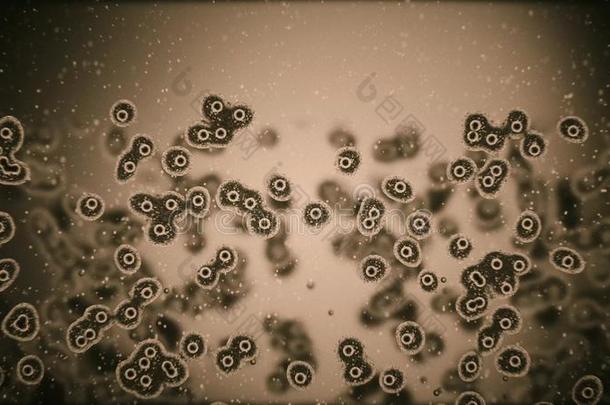 病毒攻击细胞或细菌在下面显微镜