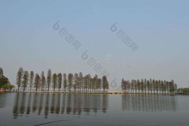 武汉东湖生态旅游风景优美的地区